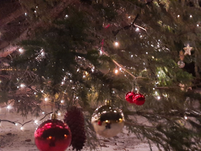 Weihnachtsbaumg